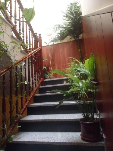 a set of stairs with plants at Hotel Restaurant Casa Miquel in Alcarraz