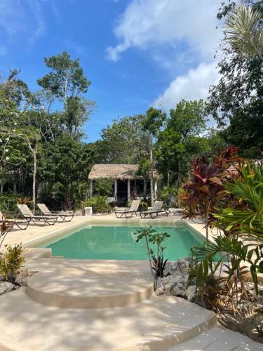 a swimming pool in a resort with chairs and trees at Maya Eco Village in Akumal