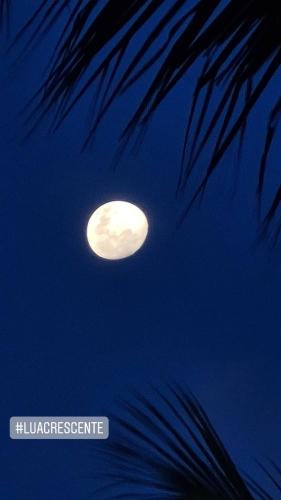 a moon in the night sky with a palm tree at Chalé 17 - Porto do Sol - Pipa in Pipa