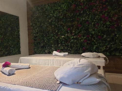 Gallery image of Vf Hotel in Cuernavaca