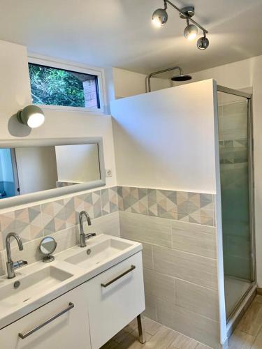 a bathroom with a sink and a shower at Le Clos de la Canardière in Savigny-sur-Braye