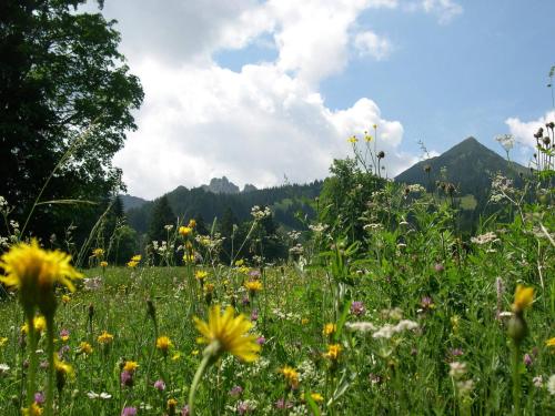 Un paisaje natural cerca de la casa de huéspedes