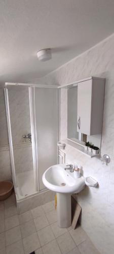 a white bathroom with a sink and a shower at Apartmani Jovanovic in Lustica