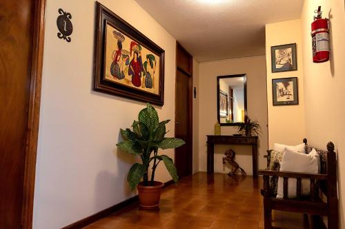 グアテマラシティにあるHostal Donde Reginaの植物と絵画が壁に描かれた廊下