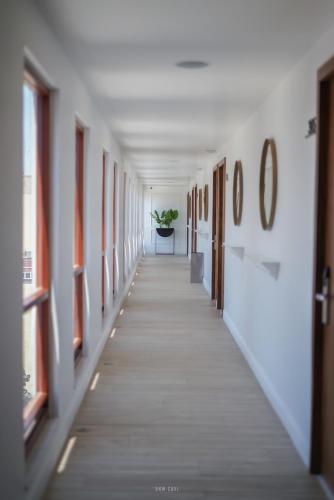 a hallway of a building with windows and a plant at Six Hotel Guadalajara Degollado in Guadalajara