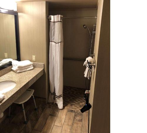 a bathroom with a shower and a sink at Best Western Ramkota Hotel in Rapid City