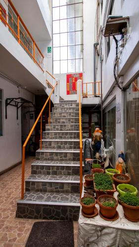 a set of stairs with potted plants on a table at Inka's Rest Hostel in Puno