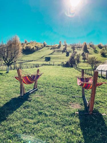 two wooden benches sitting in a field with the sun at Cabanute Luca Ama Bran in Braşov