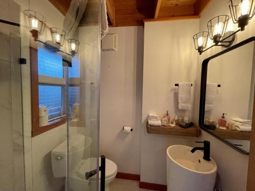 a bathroom with a sink and a toilet and a mirror at Private Oceanfront Cabin With Hot Tub Doc Holiday Cabin in Ucluelet