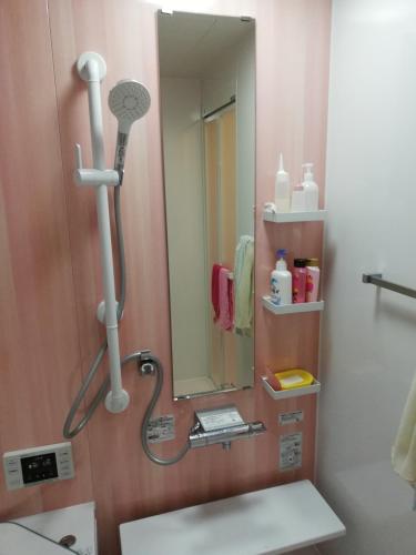 a bathroom with a shower and a mirror at 民泊マエダハウス B&B Maeda House in Aira