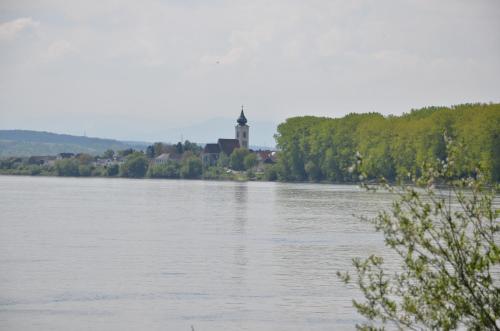 a view of a river with a lighthouse in the distance at Fischwirtshaus Landmotel Die Donaurast in Persenbeug-Gottsdorf