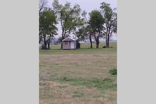 a small shack in a field with trees at Tiny Cabin at the DonkeyRanch in Medicine Park