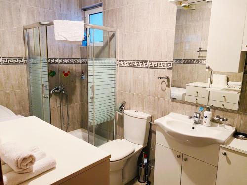 a bathroom with a shower and a toilet and a sink at Apartment Iva in Budva