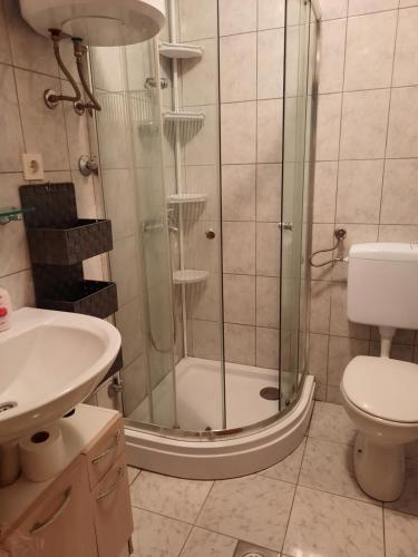 ein Bad mit einer Dusche, einem WC und einem Waschbecken in der Unterkunft Apartman Ella in Vrsi