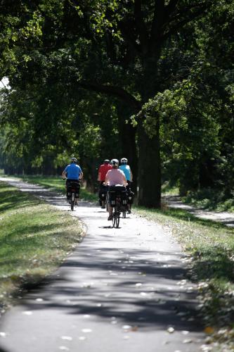 a group of people riding bikes down a road at Ringhotel Schloss Tangermünde in Tangermünde
