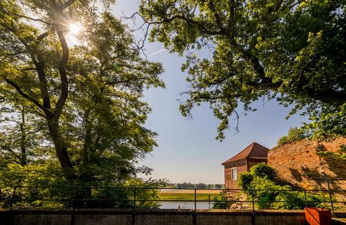 a building with the sun shining through some trees at SCHULZENS Brauerei & Hotel in Tangermünde