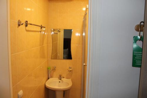 a bathroom with a sink and a toilet and a mirror at Diligence Hotel & restaurant in Dilijan