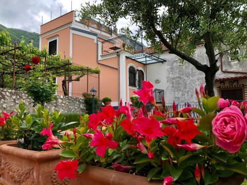 a large pot of flowers in front of a house at Farfalle E Gabbiani in Tramonti