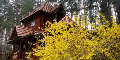 a tree house with yellow flowers in front of it at Villa Georgia in Aardla