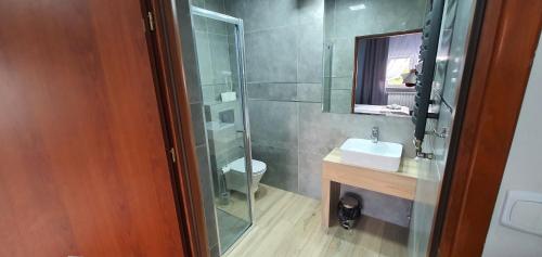Bilik mandi di Hotel Bursztynowy