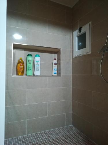 a bathroom with three bottles of soap and a shower at Cueva El Murallon in Benamaurel