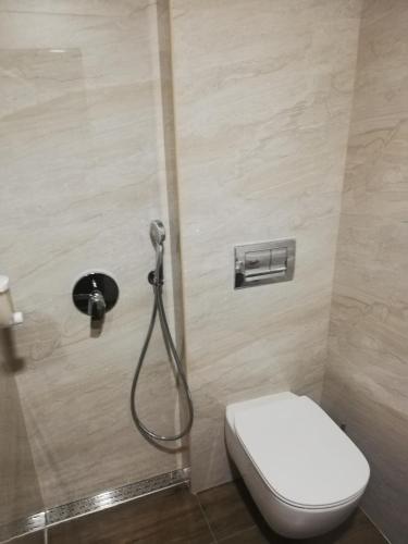 a bathroom with a toilet and a shower at Hotel Ponti in Vidin