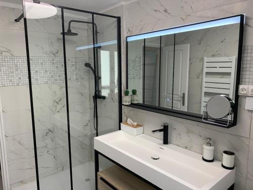 a bathroom with a sink and a shower at La cathédrale à portée de main ! in Narbonne