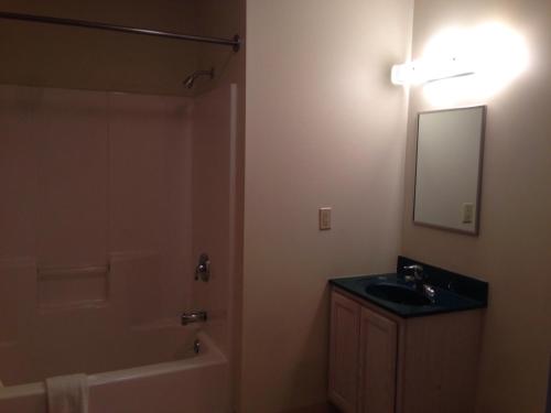 a bathroom with a sink and a shower and a mirror at All Suites Inn Budget Host in Lewisburg