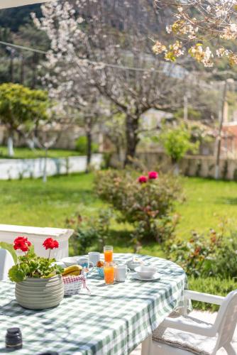 a table with a blue and white checkered table cloth at To Ktimataki in Agios Gordios