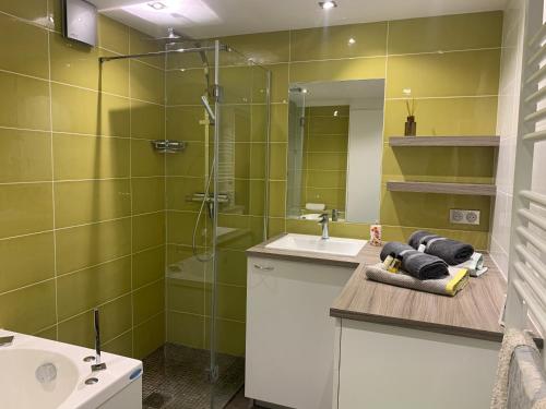 La salle de bains est pourvue d'un lavabo, d'une douche et d'un miroir. dans l'établissement Mur-Mûres, à Mûres-les Balmettes
