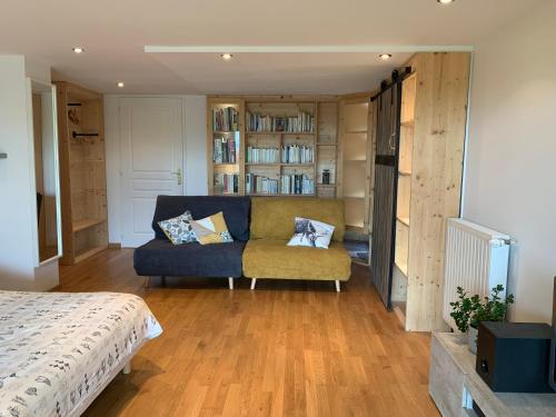 a living room with a couch and a book shelf at Mur-Mûres in Mûres-les Balmettes