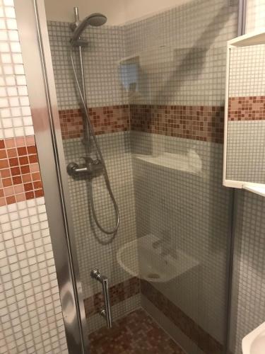 a shower with a glass door in a bathroom at W Starej Leśnej in Stegna