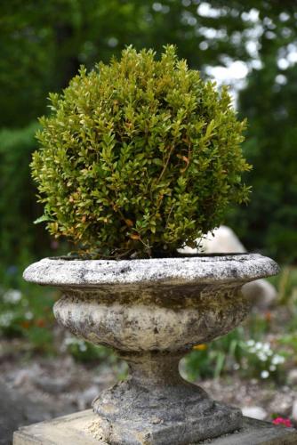 a stone planter with a green bush in it at Château de Passières in Chichilianne
