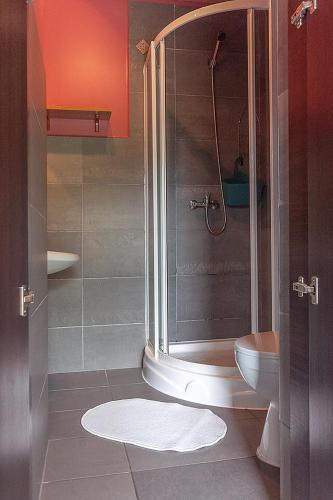 a bathroom with a shower and a toilet at Ośrodek Edward in Mikoszewo