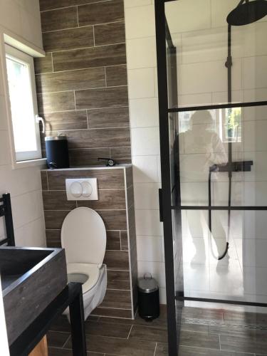 łazienka z toaletą i szklanymi drzwiami w obiekcie Knusse vakantiewoning Valthe w mieście Valthe