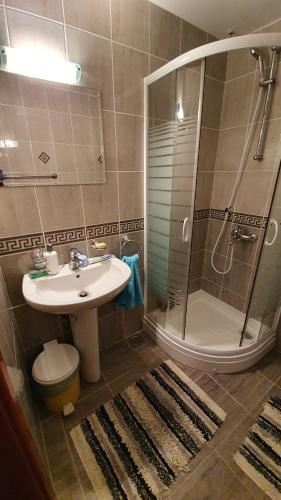 a bathroom with a sink and a shower at Sunrise Apartment in Baošići