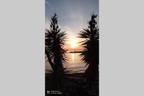a sunset over the water with palm trees at Stella Marina House -citra 010047LT-0127 in Recco