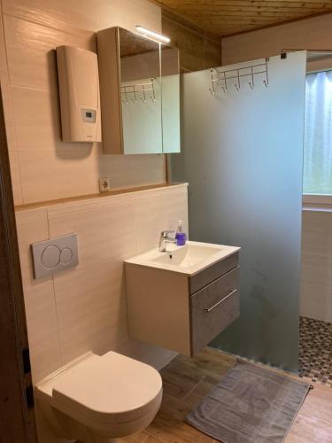 a bathroom with a white toilet and a sink at Haus Wald und Wiese Wohnung Wald in Ehndorf