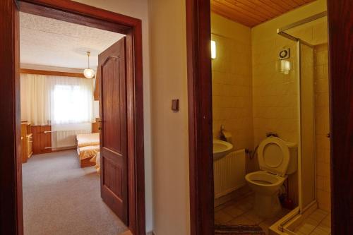 a bathroom with a toilet and a sink and a tub at Kábrtova bouda in Janske Lazne