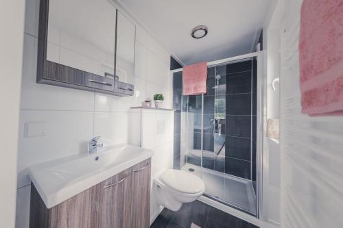 La salle de bains est pourvue de toilettes, d'un lavabo et d'une douche. dans l'établissement Buzzard 4 persons, à Rijssen