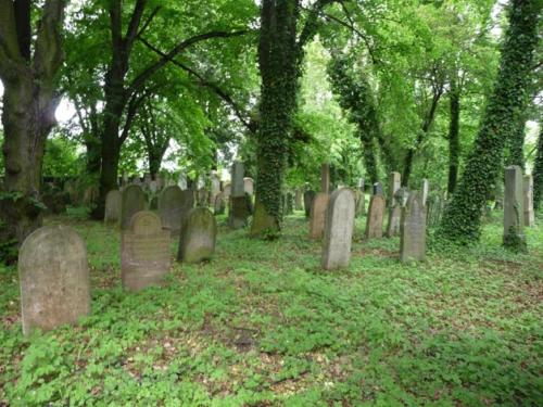 a group of gravestones in a cemetery with trees at Hotel U Karla in Prague