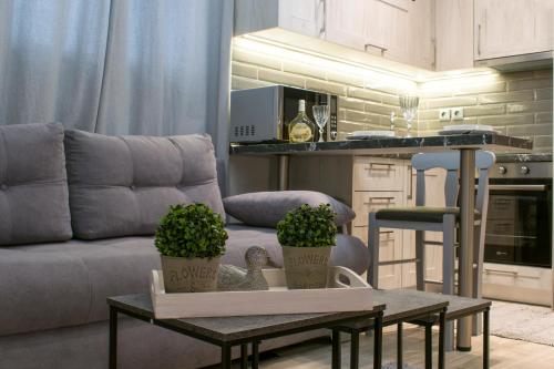- un salon avec un canapé et une table ornée de plantes dans l'établissement Santa Rosa Cosy Apartment, à Thessalonique