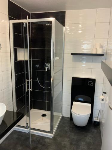 a bathroom with a toilet and a glass shower at Hotel Am Müritzhafen garni in Waren