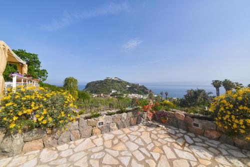 a stone retaining wall with flowers and a house at Belgodere di Mezzavia Apartments in Ischia