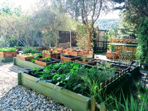 a garden with lots of different types of vegetables at Les Lauriers Roses in Salavas