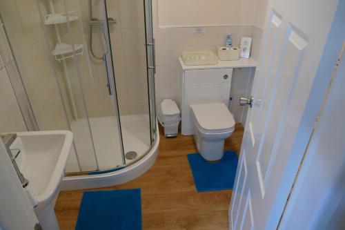 a bathroom with a shower and a toilet and a sink at Magnolia Self Contained Suites in Bristol