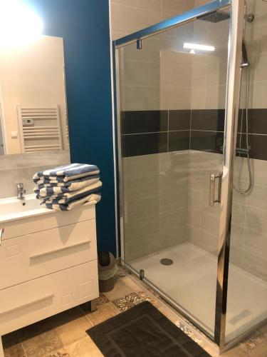 La salle de bains est pourvue d'une douche avec une porte en verre. dans l'établissement Cottage piscine intérieure31degrés ZOO LA FLECHE24H du Mans, à Clermont-Créans