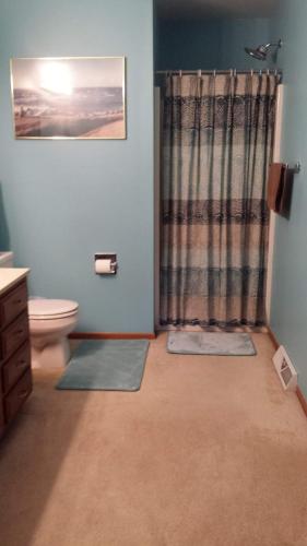 a bathroom with a toilet and a shower curtain at Moreland Air Venture Rooms in Oshkosh