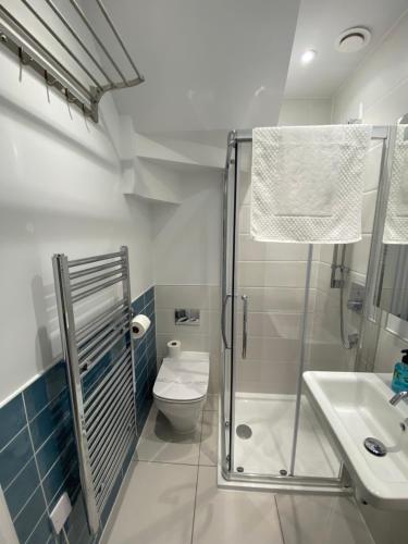 a bathroom with a shower and a toilet and a sink at Byron, Woolacombe 7 in Woolacombe