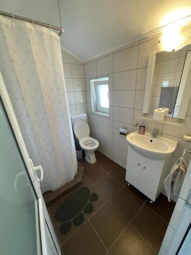 a bathroom with a toilet and a sink and a shower at Casa Inna Venus in Venus